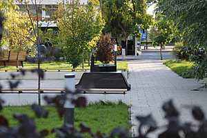Фото: Матвей Горбунов/"Городские вести"