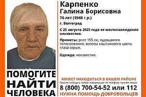 Фото: "ЛизаАлерт" Волгоград
