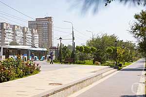 Фото: Данил Савченко / "Городские вести"