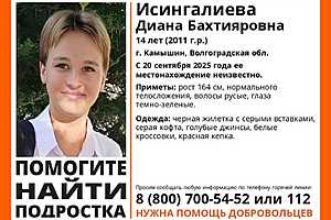 Фото: поисковый отряд «ЛизаАлерт»