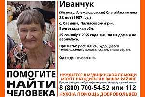 фото: "ЛизаАлерт" Волгоград