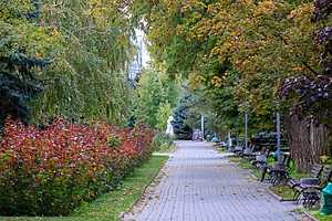 Фото: Дмитрий Рогулин/"Городские вести"