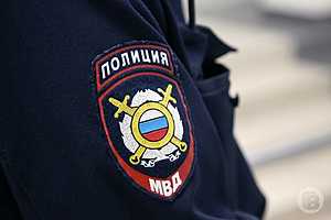 Фото: Дмитрий Рогулин/"Городские вести"