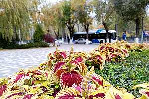 Фото: "Городские вести"