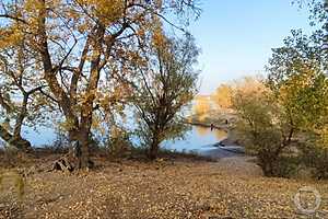 Фото: "Городские вести"
