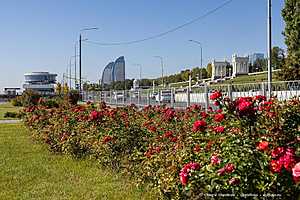 Фото: Олег Димитров / "Городские вести"