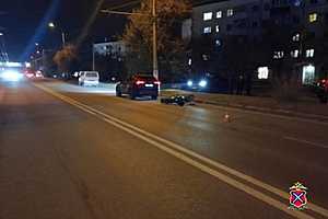 Фото: ГУ МВД России по Волгоградской области