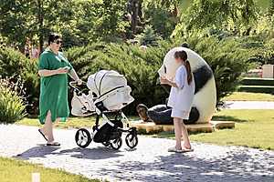 фото: Дмитрий Рогулин / "Городские вести"