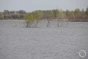 Фото: Дмитрий Рогулин / "Городские вести"