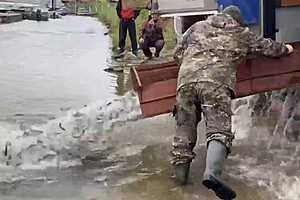 20 тысяч мальков сазана выпустили в реку Волгоградской области