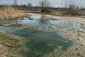 Фото: Нижне-Волжское управление Росприроднадзора