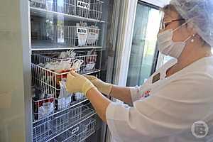 Фото: Дмитрий Рогулин / "Городские вести"