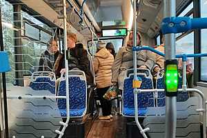 Фото: Елена Силантьева / "Городские вести"