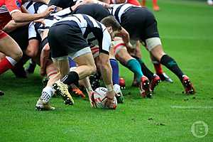 Фото: Дмитрий Рогулин / "Городские вести"