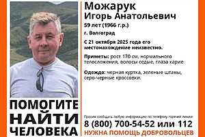 Фото: отряд "ЛизаАлерт"