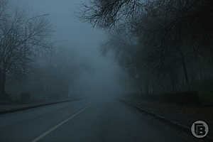 Фото: Данил Савченко / "Городские вести"