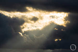 Фото: «Городские вести»