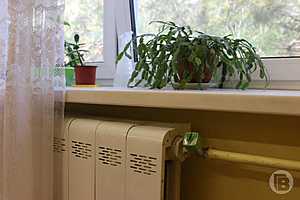 Фото: "Городские вести"