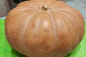 Фото: Елена Силантьева / "Городские вести"