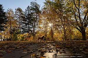 Фото: Олег Димитров / "Городские вести"