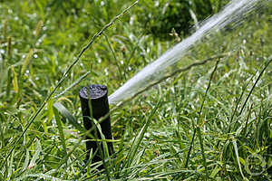 фото: Дмитрий Рогулин / "Городские вести"