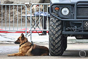 фото: Дмитрий Рогулин / "Городские вести"