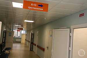 фото: Дмитрий Рогулин / "Городские вести"