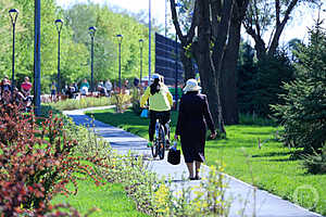 Фото: Дмитрий Рогулин / «Городские вести»