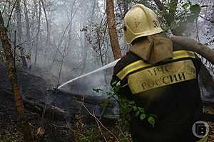 фото: Дмитрий Рогулин / "Городские вести"