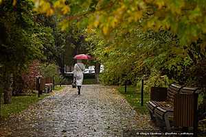 Фото: Олег Димитров / "Городские вести"