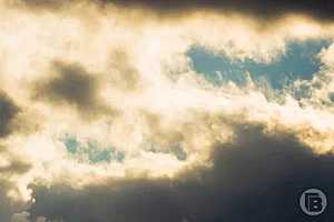 Фото: Данил Савченко / "Городские вести"