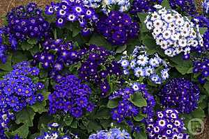 Фото: Дмитрий Рогулин / "Городские вести"