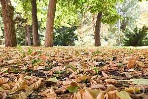 Фото: Дмитрий Рогулин/"Городские вести"