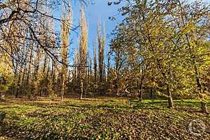 Фото: "Городские вести"