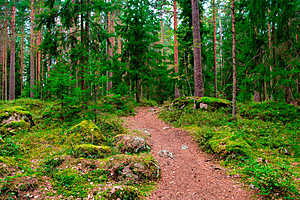 Фото: Shutterstock/автор Dmitry Eagle Orlov