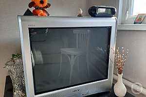 Фото: Елена Силантьева / "Городские вести"