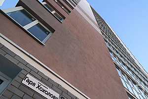 Фото: Дмитрий Рогулин / «Городские вести»