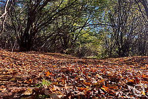 фото: Дмитрий Рогулин / "Городские вести"