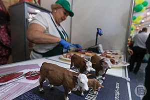 Фото: Дмитрий Рогулин/"Городские вести"