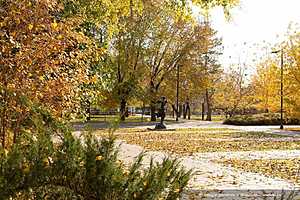 Фото: Олег Димитров / "Городские вести"