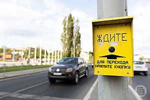 Фото: «Городские вести»