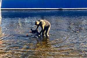 Фото: ГКУ "Служба спасения"