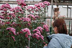 Фото: Дмитрий Рогулин / "Городские вести"