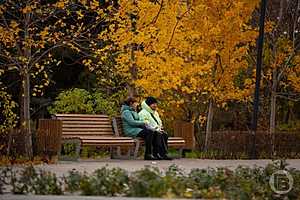 Фото: Данил Савченко / "Городские вести"