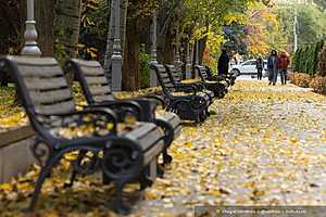 фото: Олег Димитров / "Городские вести"