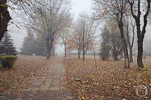 Фото: "Городские вести"