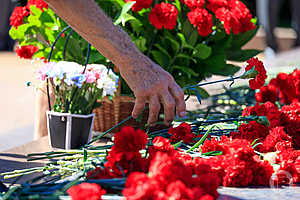 Фото: Дмитрий Рогулин / «Городские вести»