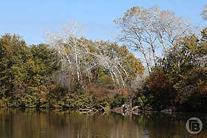 фото: Дмитрий Рогулин / "Городские вести"