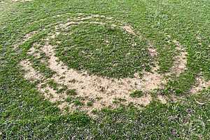 Фото: "Городские вести"