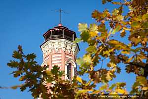 Фото: Олег Димитров / "Городские вести"